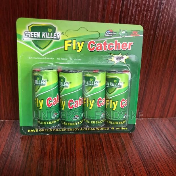 A Green Fly Catcher