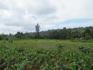 3.25 Acres of Land for Sale in Ruku, Wangige