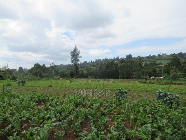 3.25 Acres of Land for Sale in Ruku, Wangige