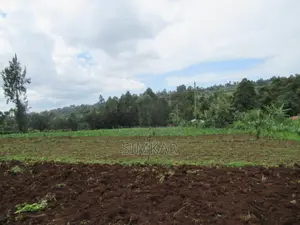 3.25 Acres of Land for Sale in Ruku, Wangige