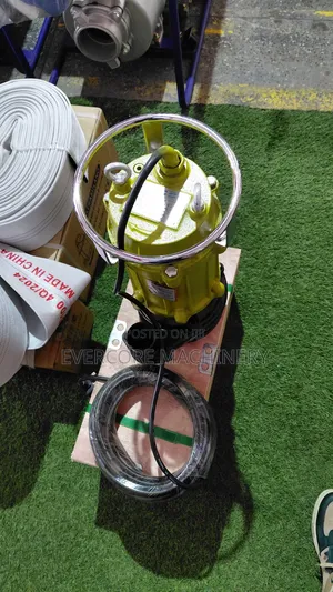 Electric Ssewage Submersible Pump 3hp Single Phase.