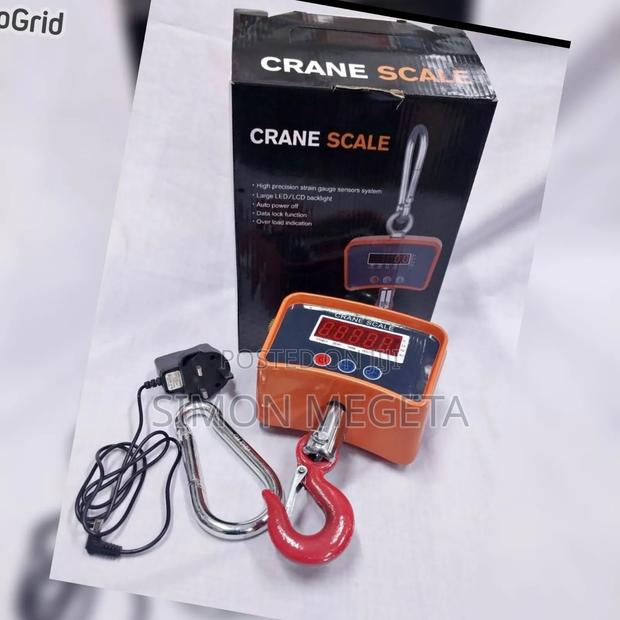 New Arrivals 500 KGS Mini Crane Scale for Warehouse