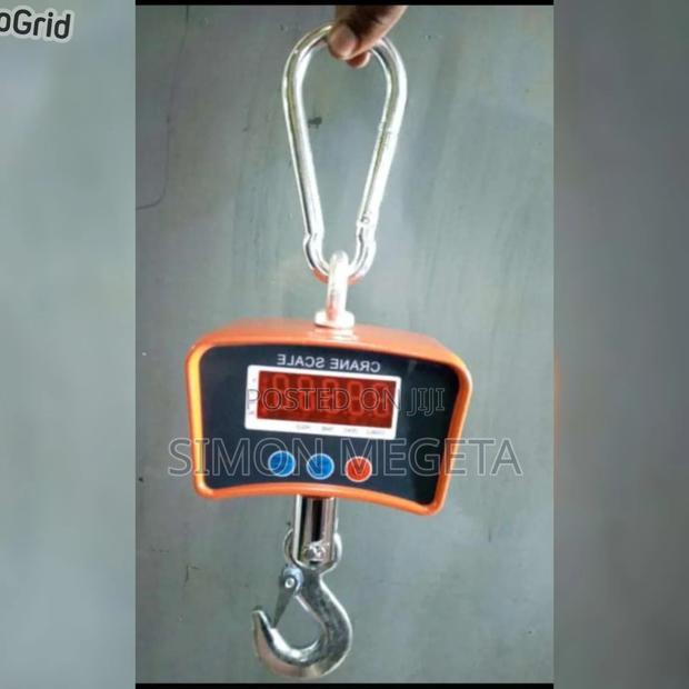 In Stock Mini Crane Scale for Warehouse 500 KGS