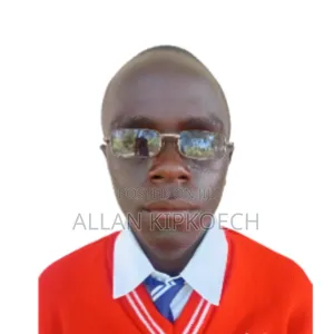 Allan Cv on Ict Skillz