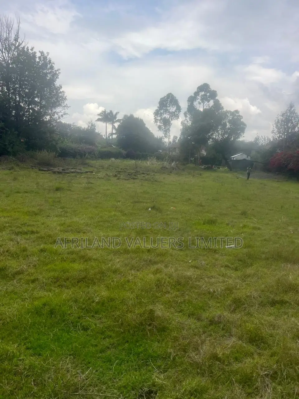 A Plot for Sale in Karen
