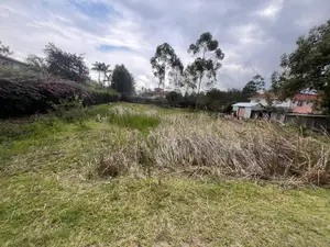 A Plot for Sale in Karen