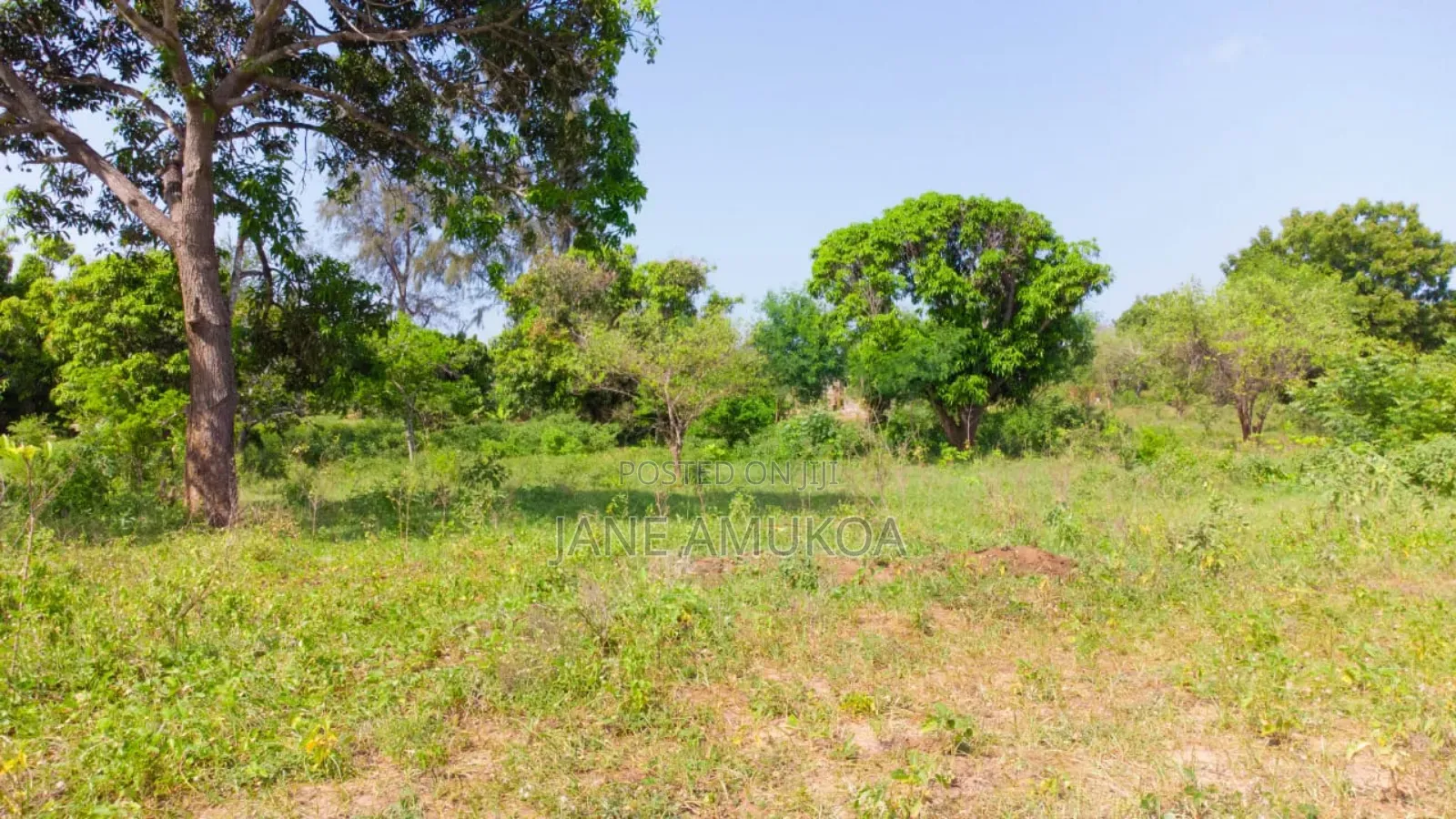 50 X 100 Kilifi Mastangoni