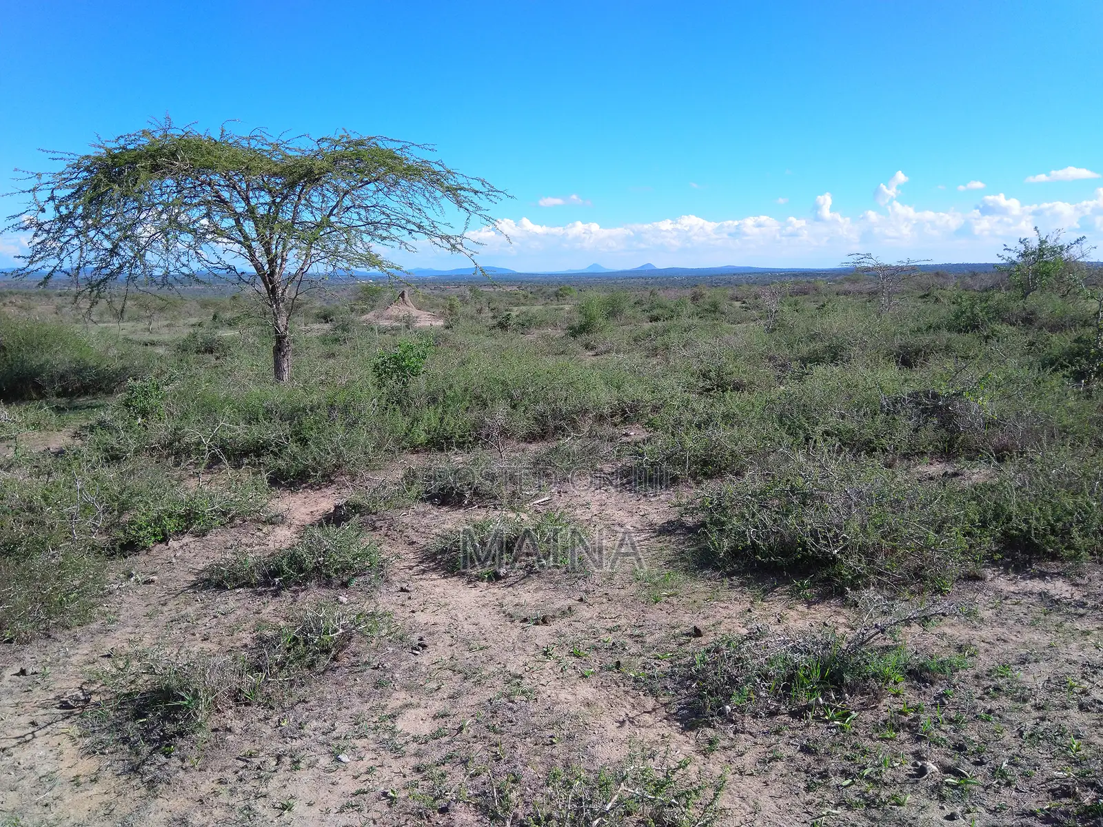 Quick Sale! 1acre in Konza