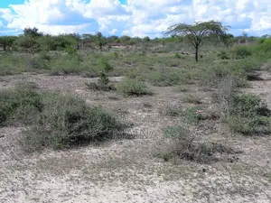 Quick Sale! 1acre in Konza