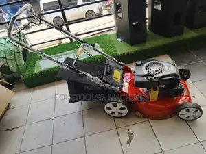 Dich Self Propelled Gasoline Lawn Mower 173cc