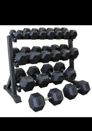 Silver Chrome Cast Dumbbell Handle With Black Rubber Dumbbell Head