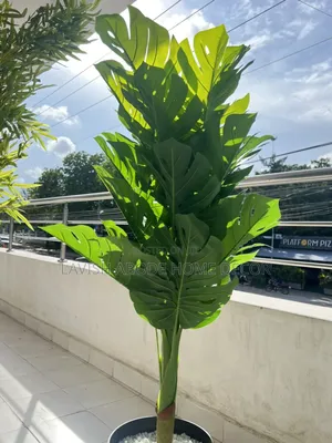 Artificial Monstera Plant