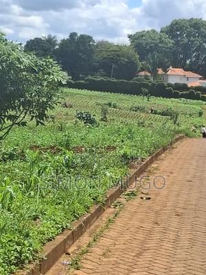 Kitsuru Very Prime Fairy Flat Red Soi 5 Acres - thumbnail 2