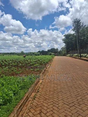 Kitsuru Very Prime Fairy Flat Red Soi 5 Acres
