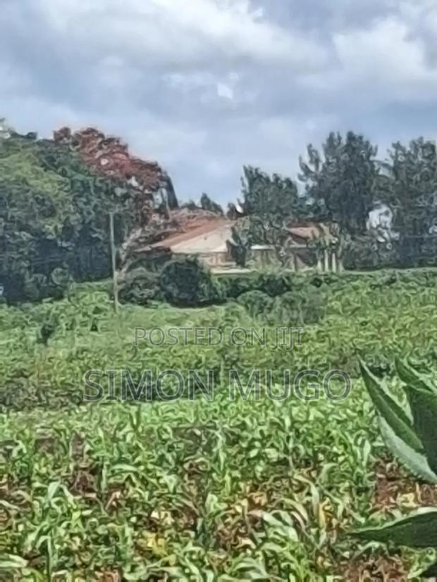 Kitsuru Very Prime Fairy Flat Red Soi 5 Acres - thumbnail 7