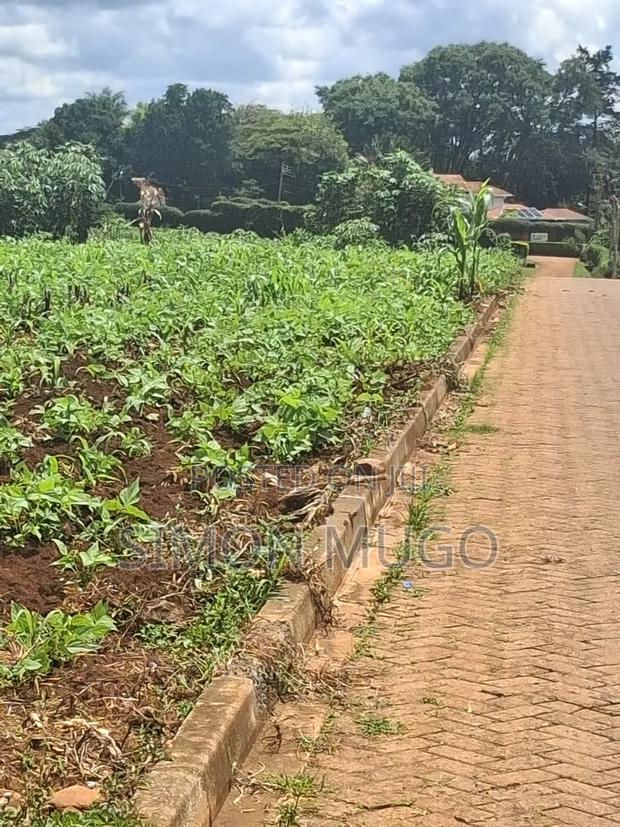 Kitsuru Very Prime Fairy Flat Red Soi 5 Acres - thumbnail 10