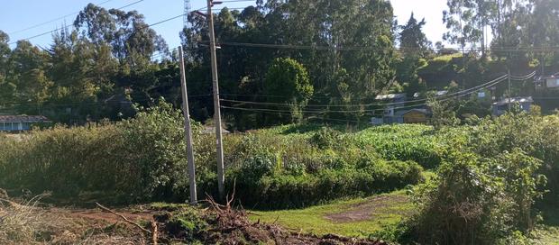 Kitsuru Very Prime Fairy Flat Red Soi 5 Acres - thumbnail 11