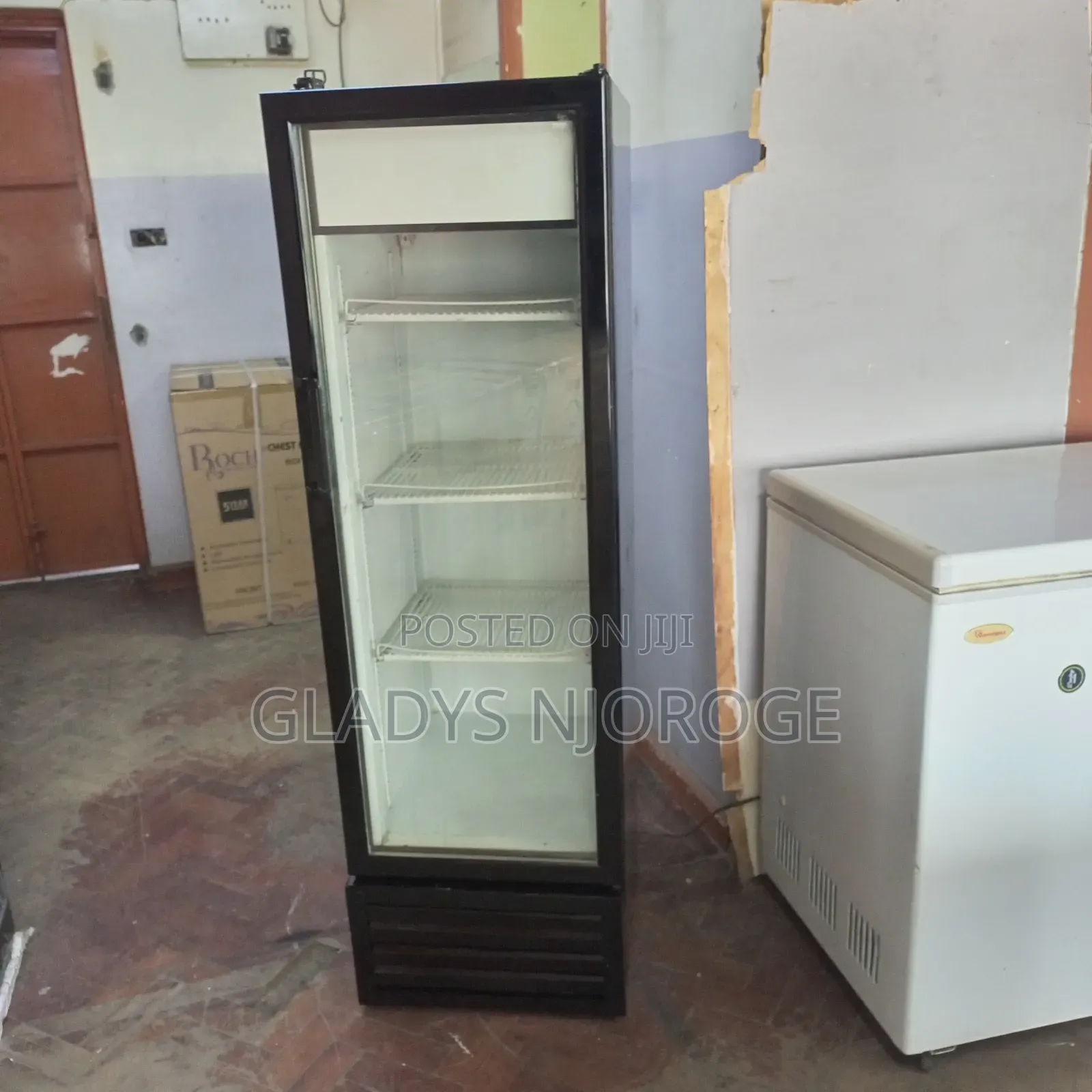 Show Case Chiller ( 300l)