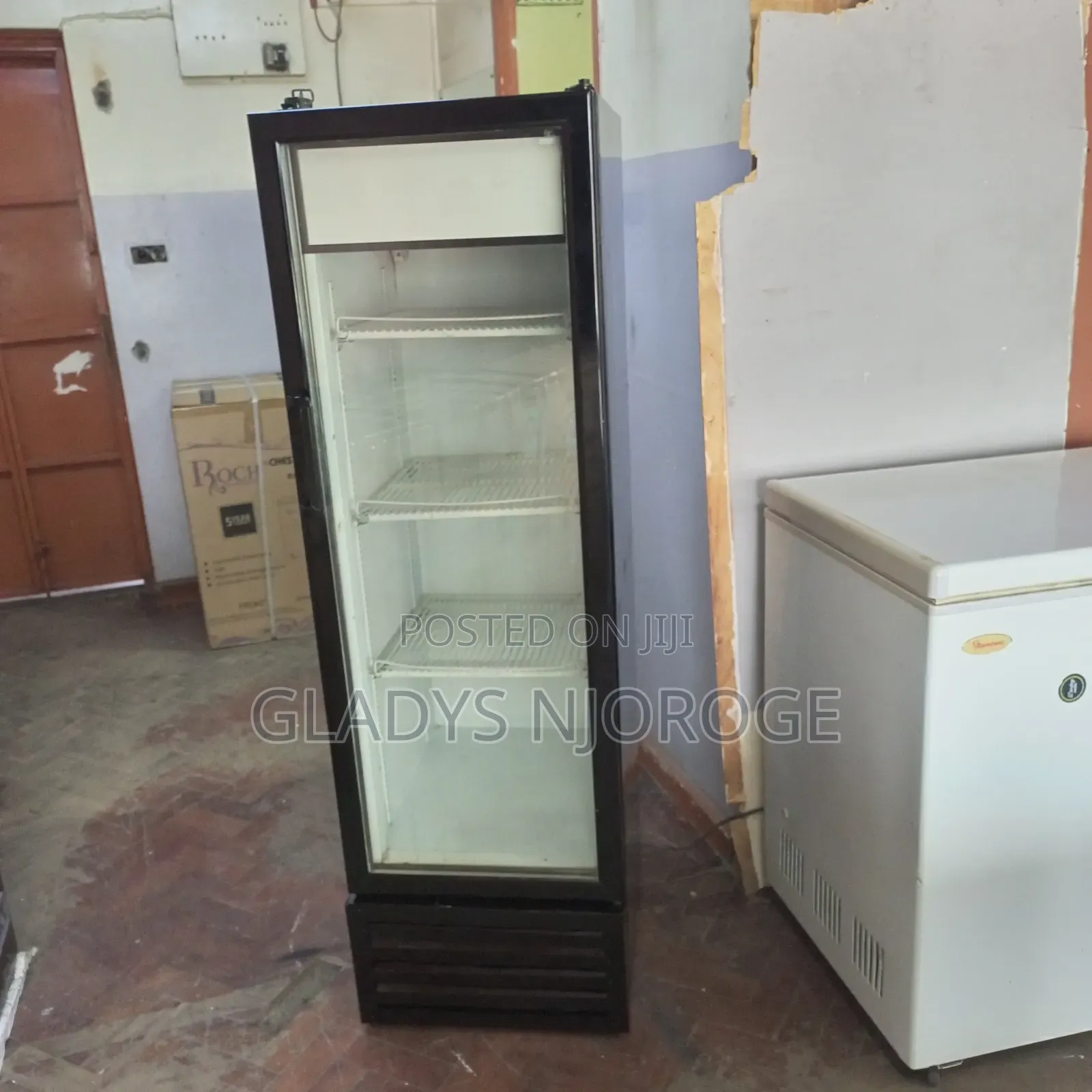 Show Case Chiller ( 300l)