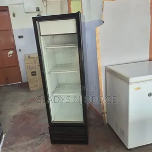 Show Case Chiller ( 300l)