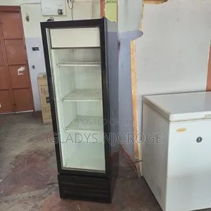 Show Case Chiller ( 300l)