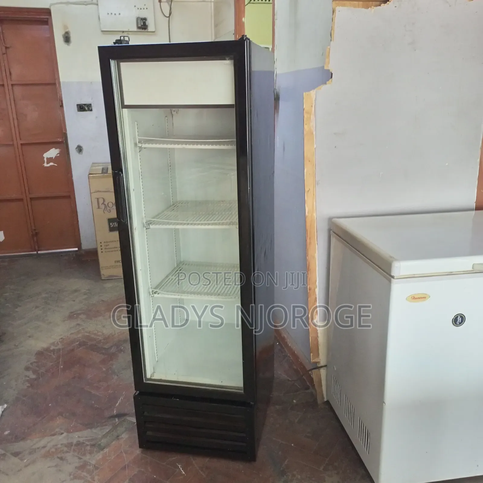Show Case Chiller ( 300l)