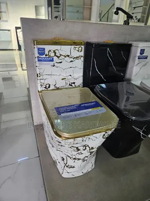 White and Gold Toilet Available