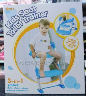 3 in 1 Baby Toilet Ladder/Potty