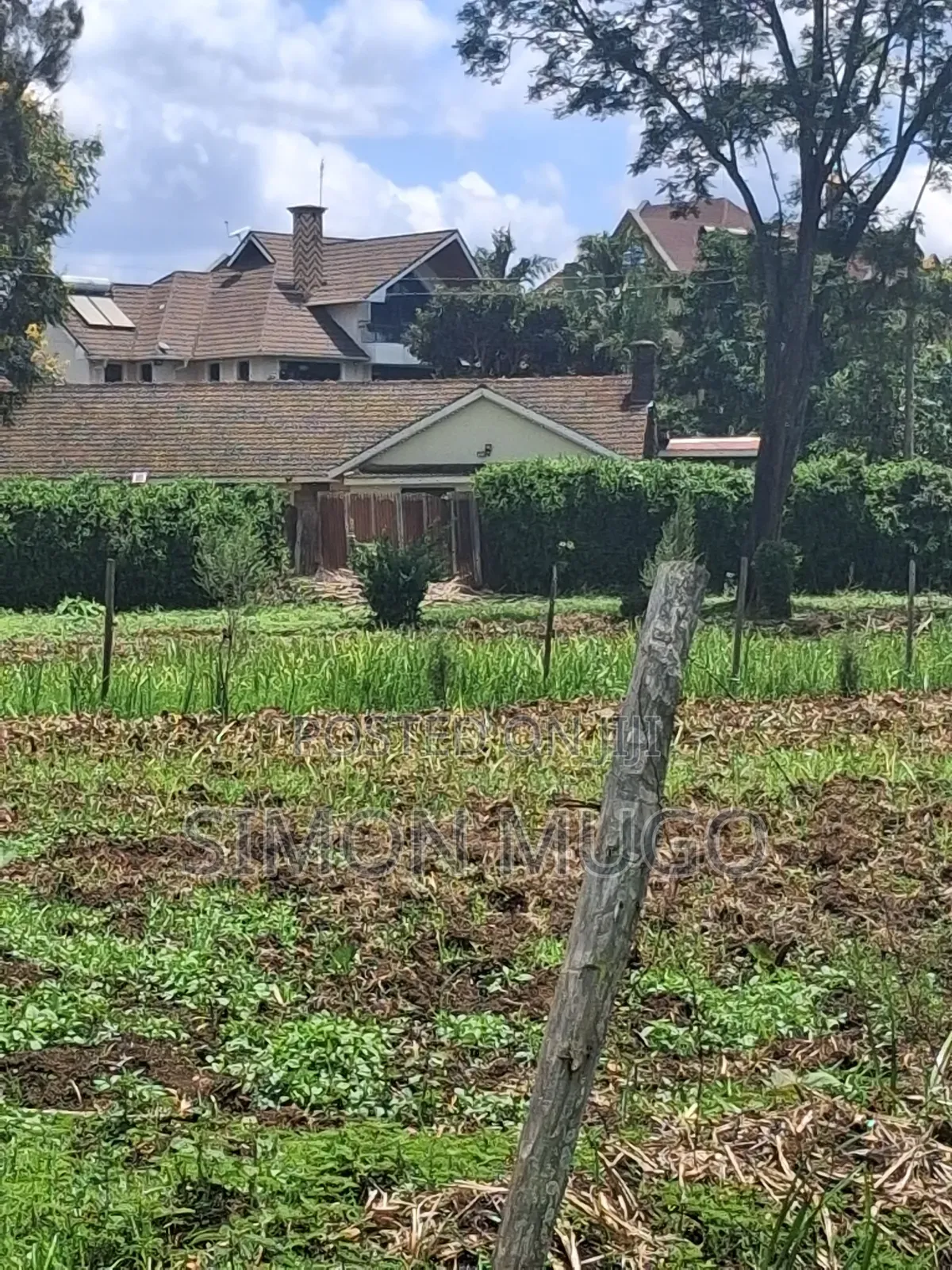 Mushrooms Gardens Est Kiambu Road Prime Secure Fully Serviced 1/2 Acre