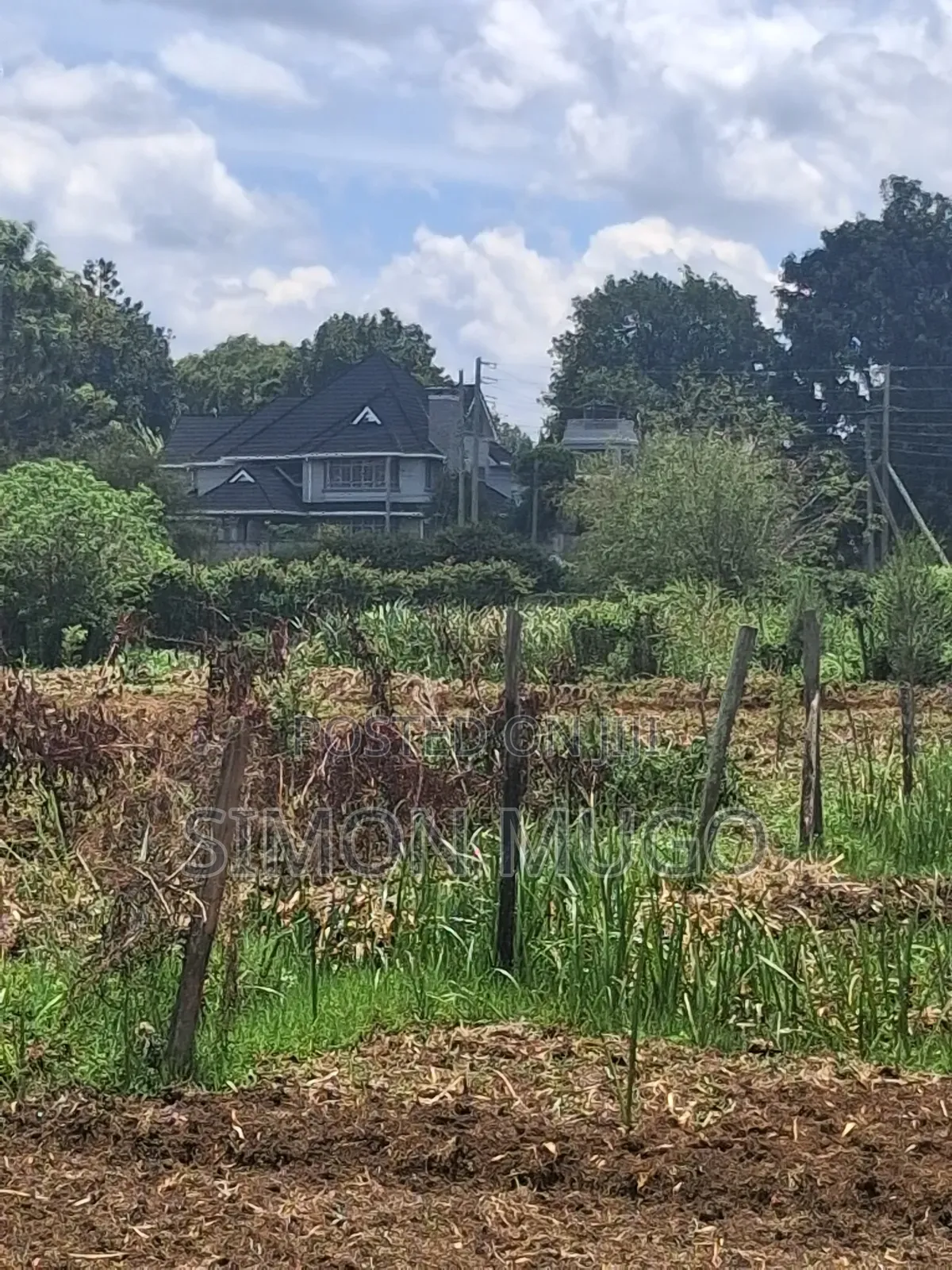 Mushrooms Gardens Est Kiambu Road Prime Secure Fully Serviced 1/2 Acre