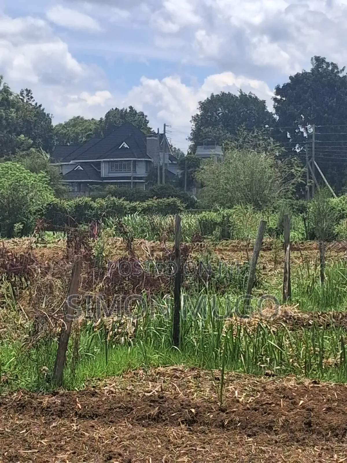 Mushrooms Gardens Est Kiambu Road Prime Secure Fully Serviced 1/2 Acre