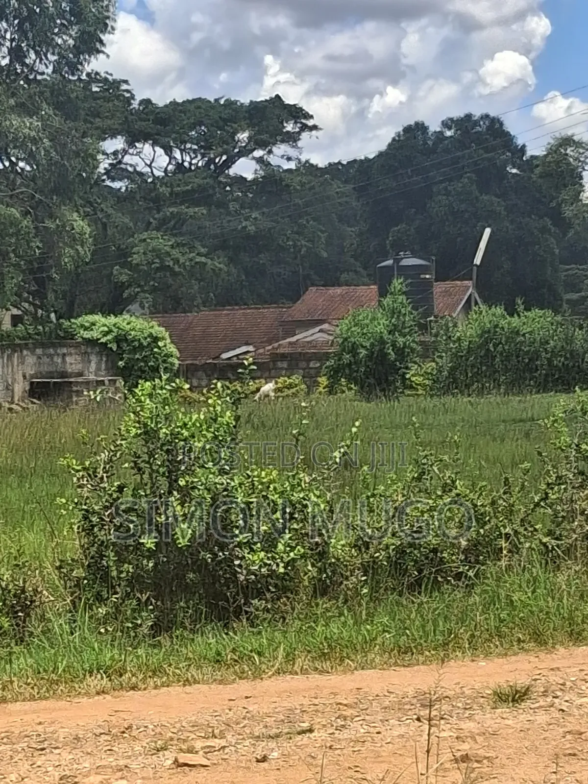 Mushrooms Gardens Est Kiambu Road Prime Secure Fully Serviced 1/2 Acre