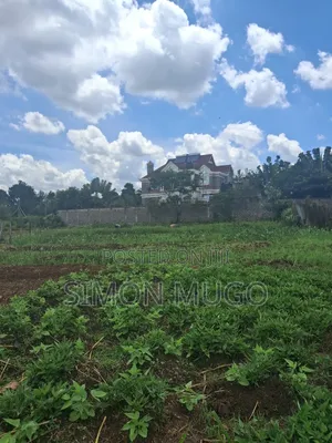 Mushrooms Gardens Est Kiambu Road Prime Secure Fully Serviced 1/2 Acre