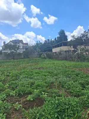Mushrooms Gardens Est Kiambu Road Prime Secure Fully Serviced 1/2 Acre