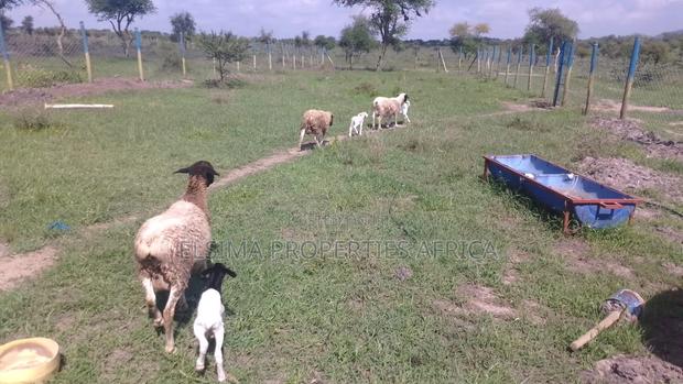 Plots at Kajiado Sajiloni - thumbnail 9