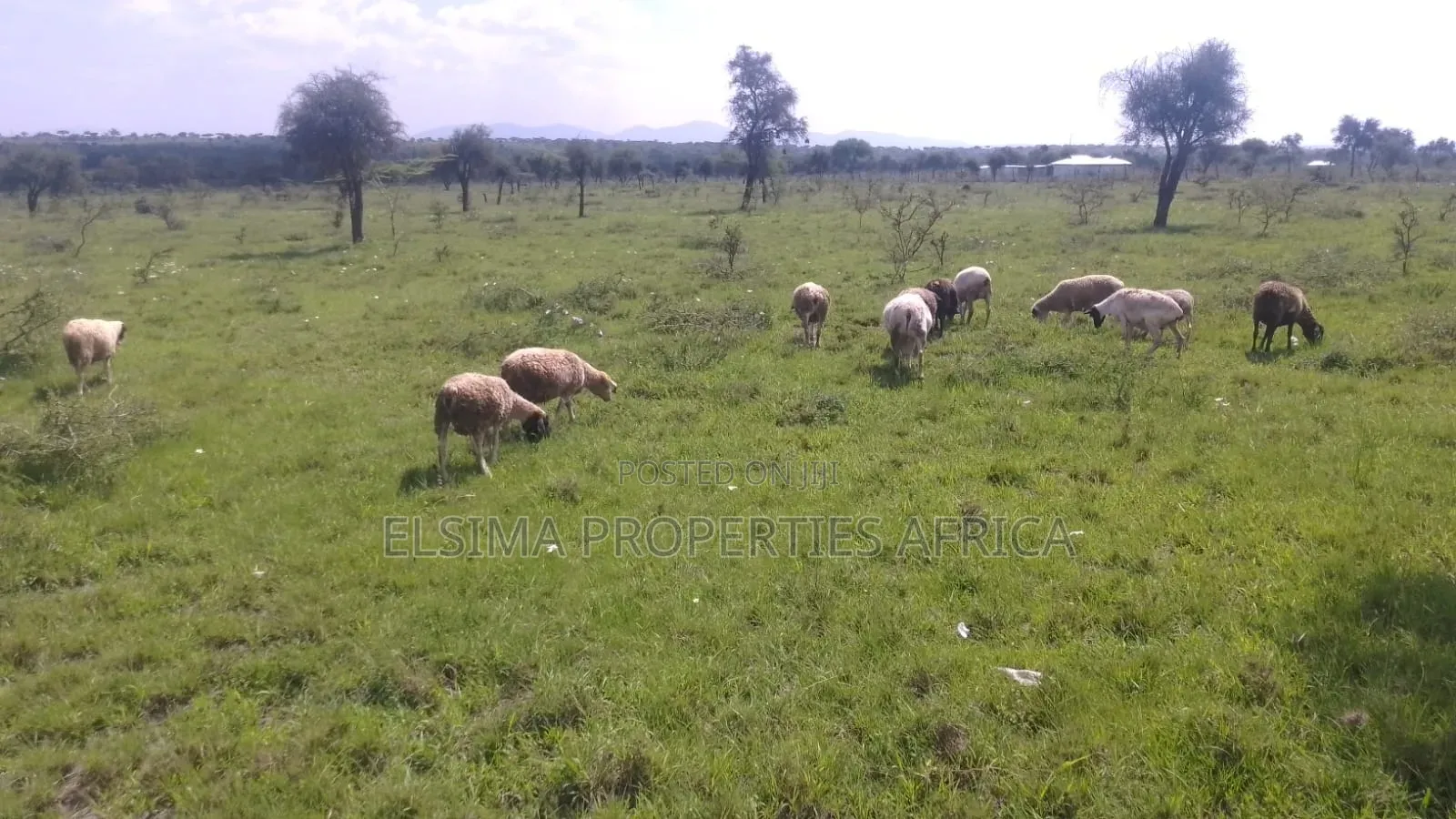 Plots at Kajiado Sajiloni