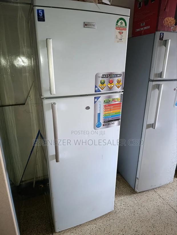 Big Fridge Reubune