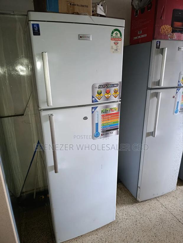 Big Fridge Reubune - thumbnail 2