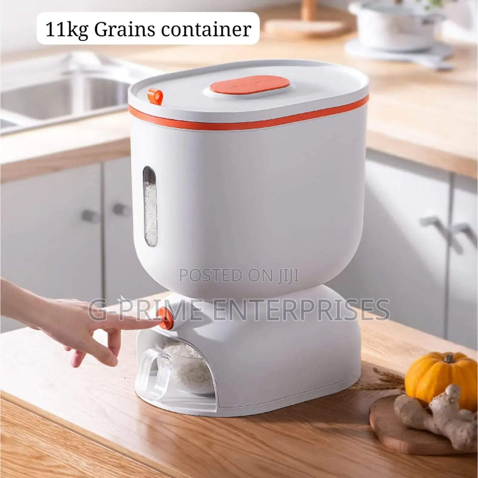 Grains Container