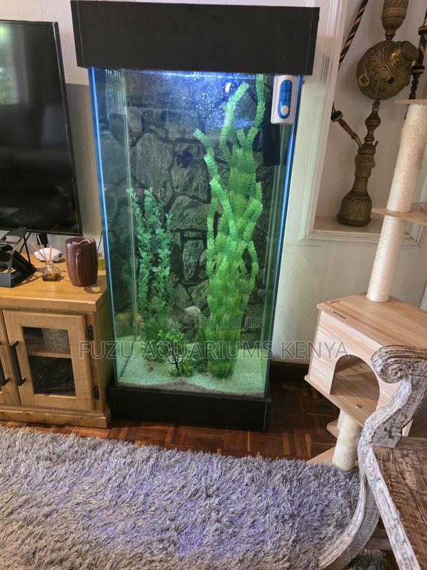 Stunning Vertical Column Aquarium - Full Professional Setup - main view