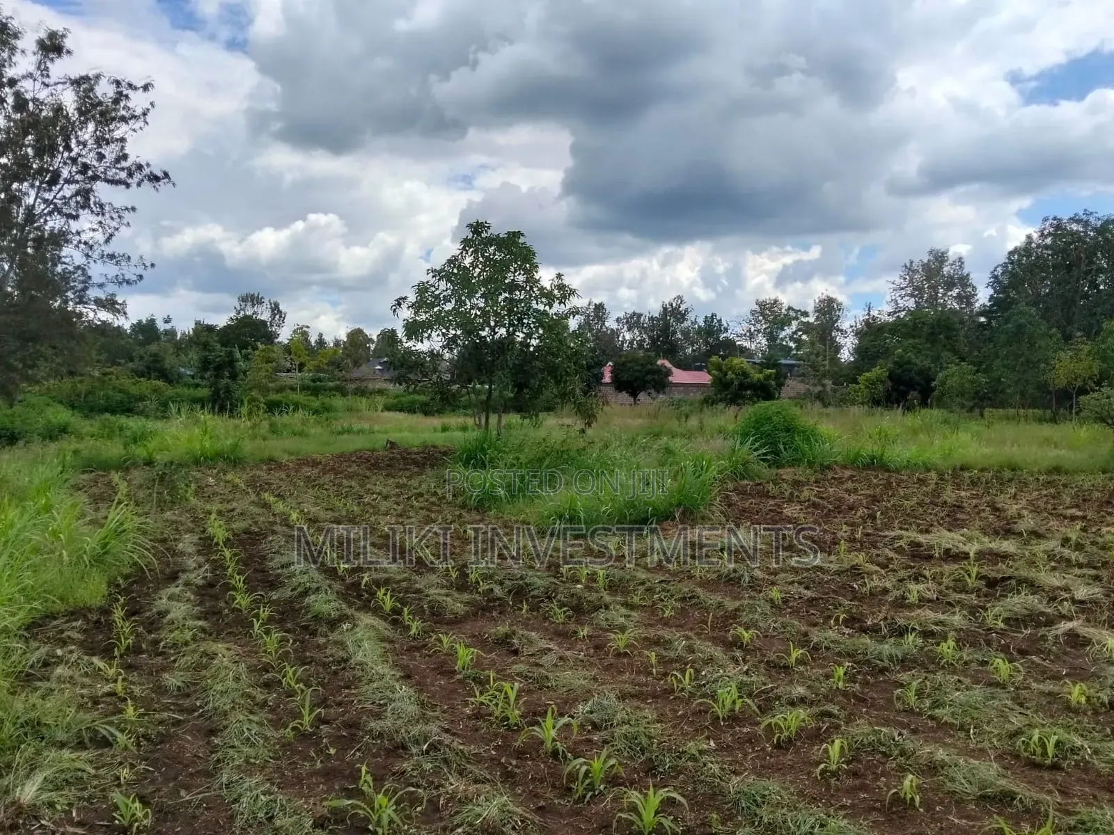 2 Acres of Land City at Makuyu -Tatu C
