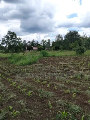 2 Acres of Land City at Makuyu -Tatu C