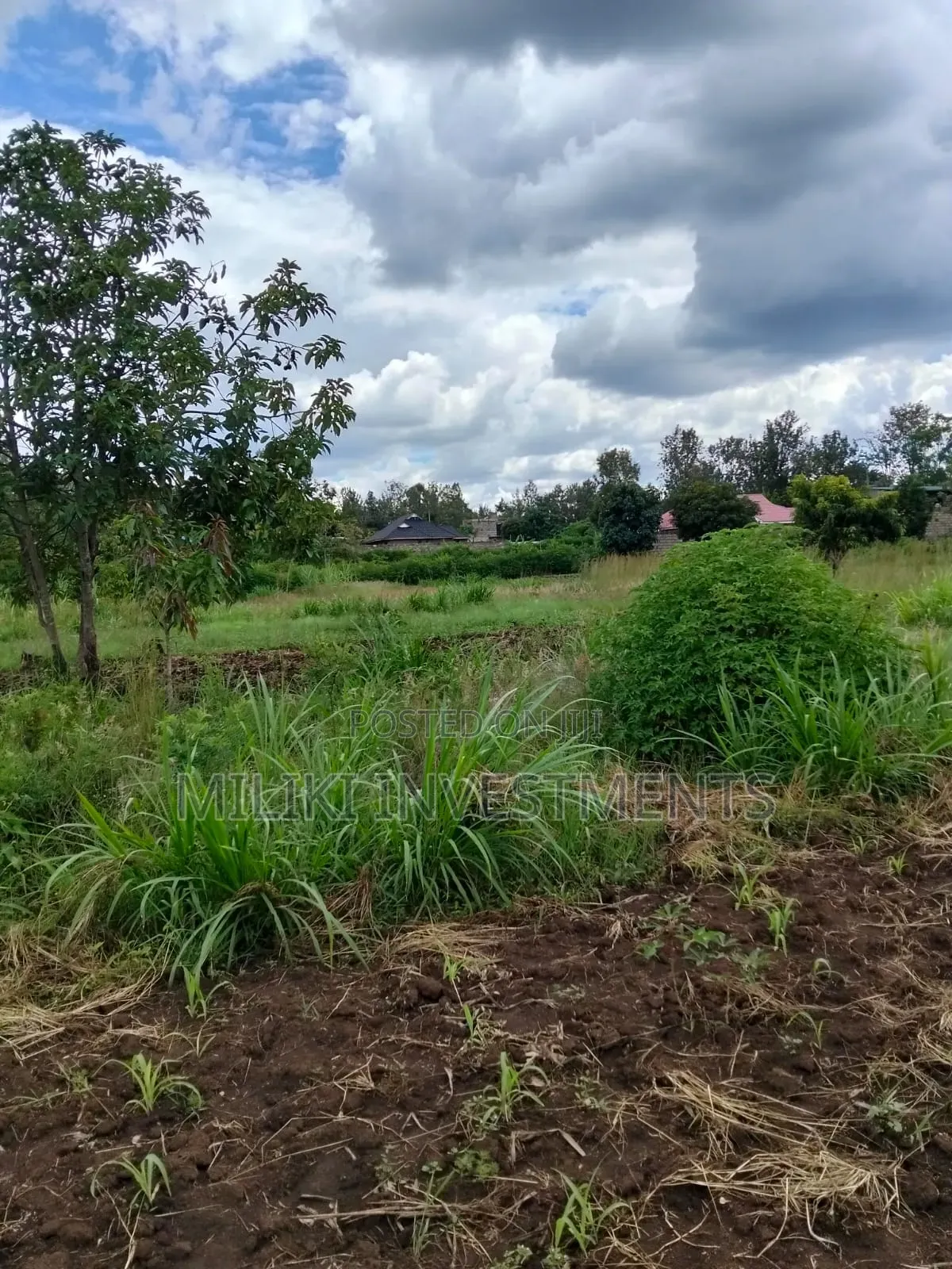 2 Acres of Land City at Makuyu -Tatu C