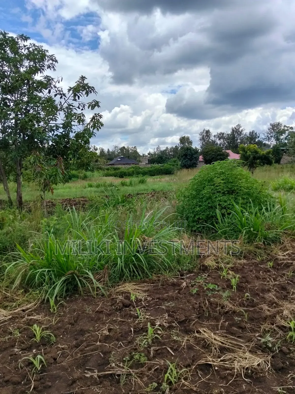 2 Acres of Land City at Makuyu -Tatu C