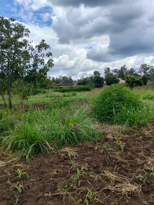 2 Acres of Land City at Makuyu -Tatu C
