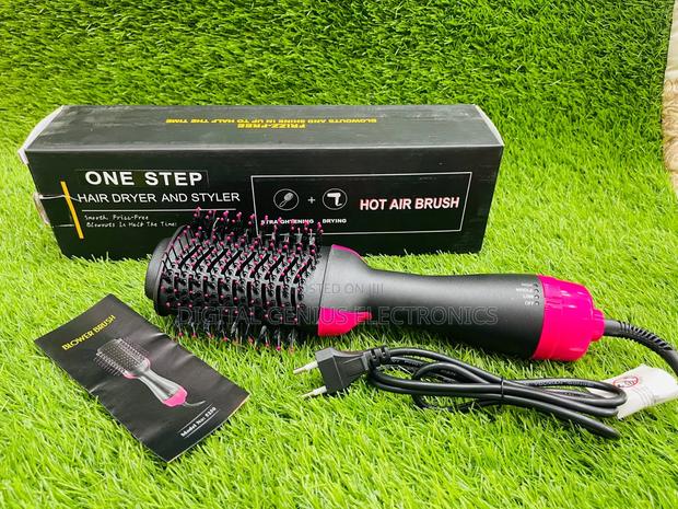 Electric Hair Dryer and Styler