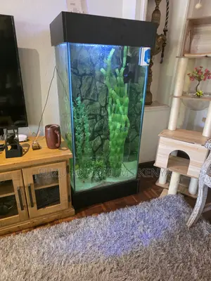 Luxury Pillar Aquarium - Full Kit Livestock Included