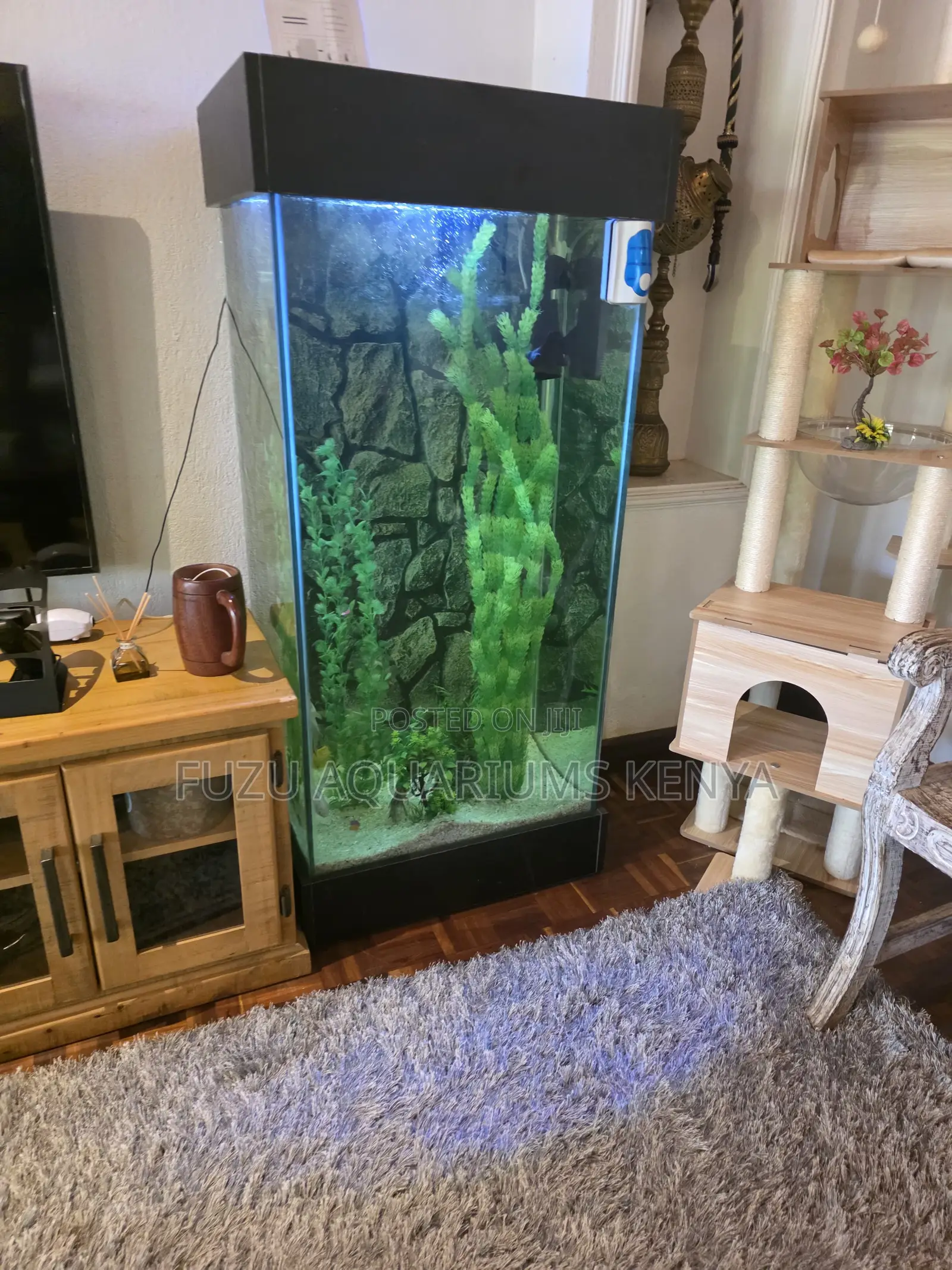 Beautiful Tall Fish Aquarium - Full Setup Maintenance Kit