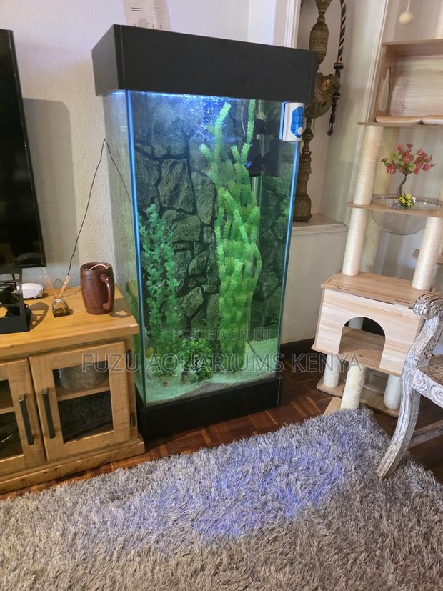 Beautiful Tall Fish Aquarium - Full Setup Maintenance Kit - main view