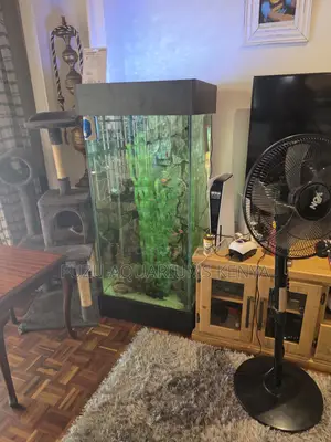 All-in-One Aquarium Deal: Fish, Filter, Lights Food!